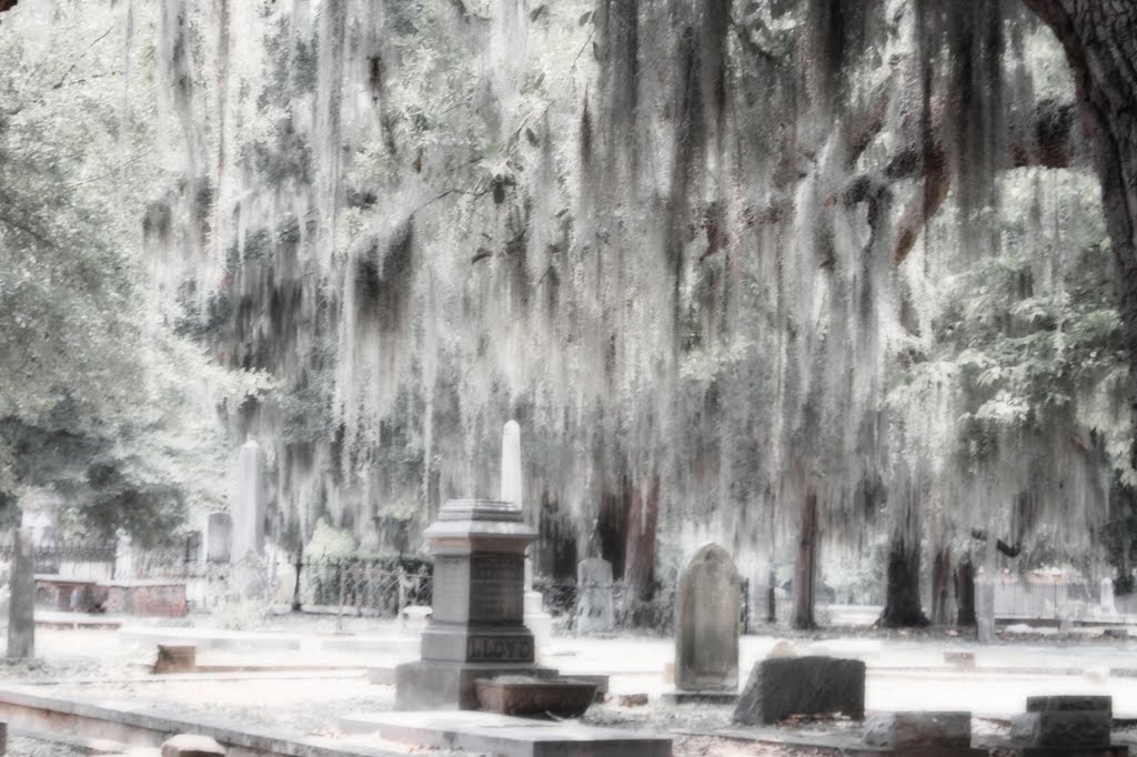 Live Oak Cemetery - Est. 1829