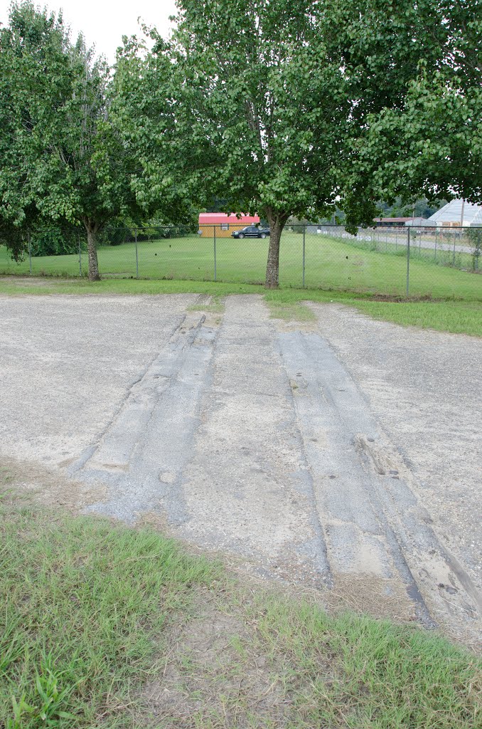 Central of Georgia Roadbed