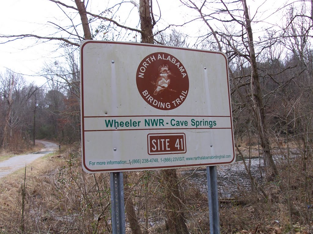 Site 31 North AL Bird Trail Central Loop Cave Springs