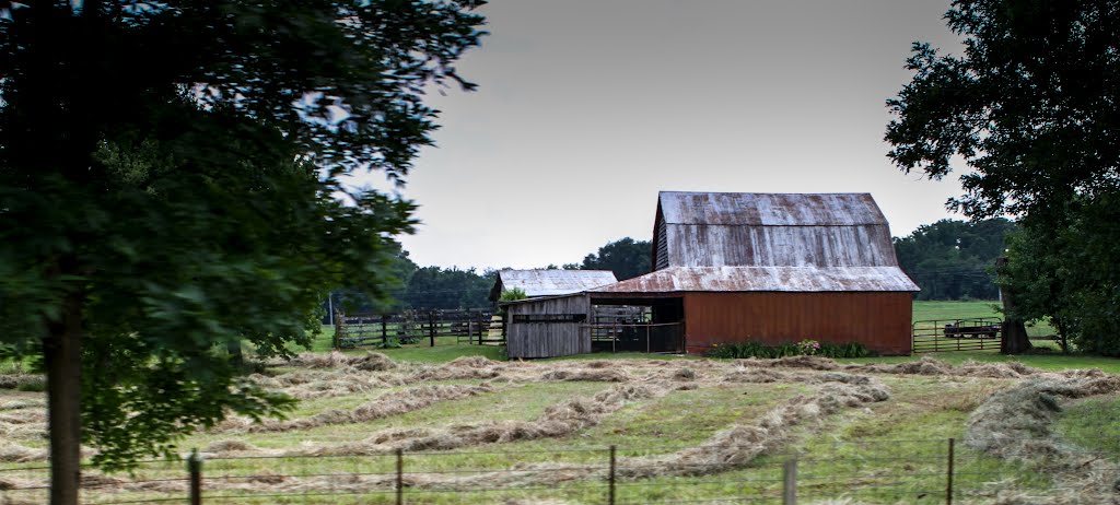 Alabama Working Barn