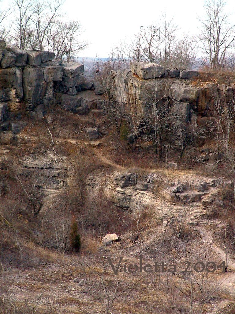 Rufner Mountain