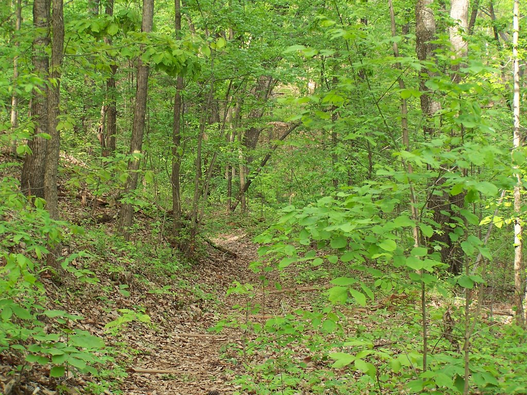 Five-mile loop at Ruffner Mountain