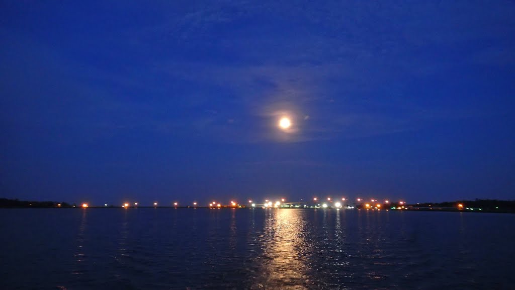 Night Skyline of Dog River