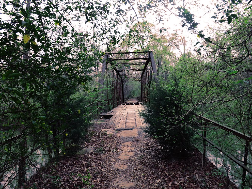 The Forgotten Bridge