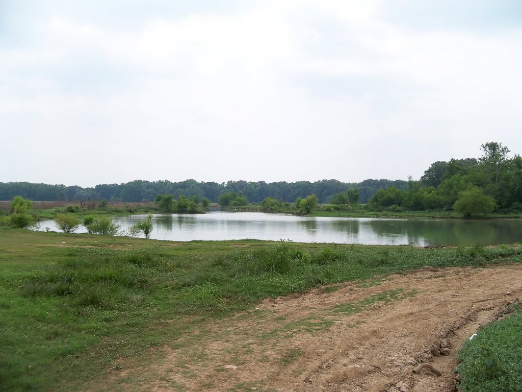 Secluded Pond, Wheeler Wildlife Refuge