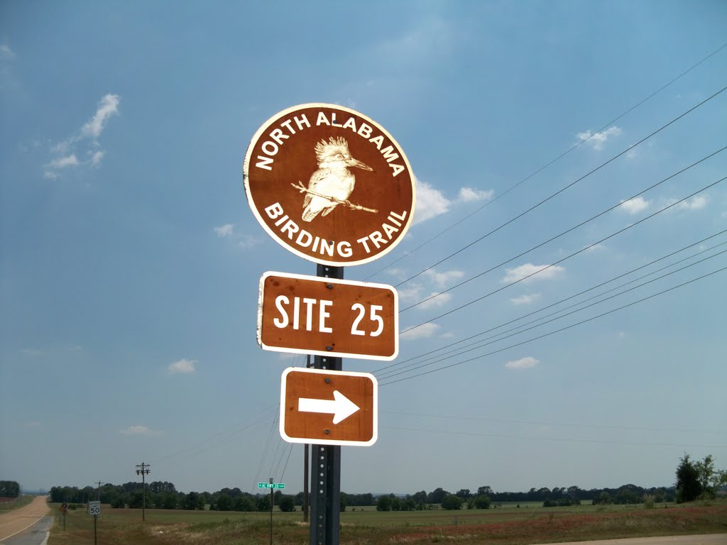 Site 25 North AL Bird Trail Central Loop Beaverdam Swamp Boardwalk
