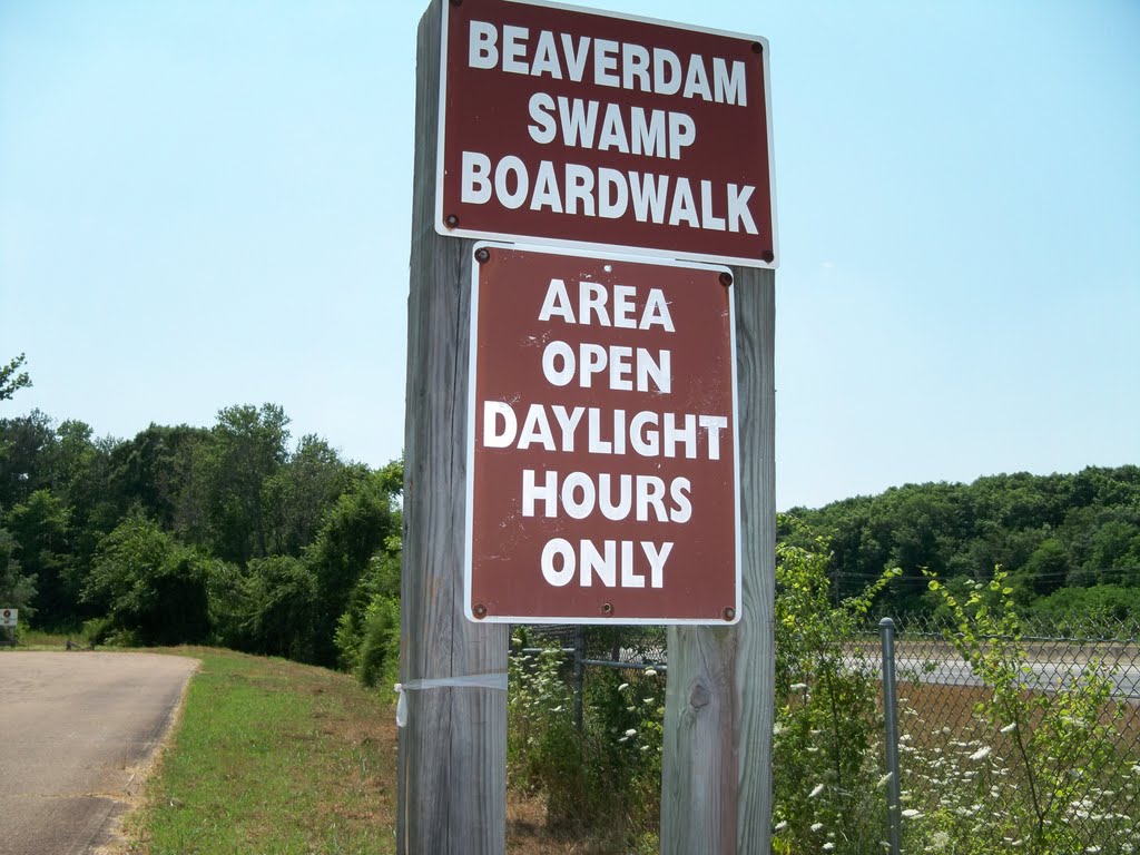 Site 25 North AL Bird Trail Central Loop Beaverdam Swamp Boardwalk
