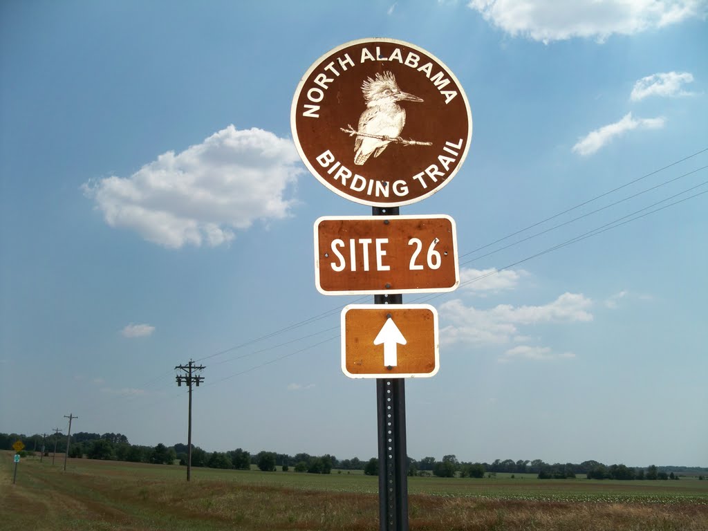 Site 26 North AL Bird Trail Blackwell Swamp