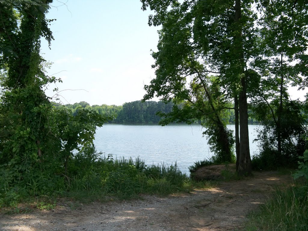 Site 26 North AL Bird Trail Blackwell Swamp