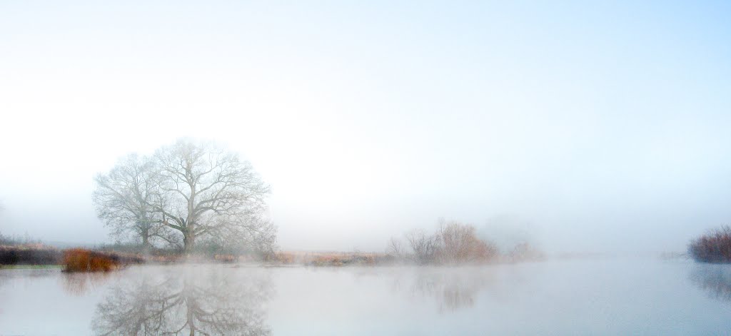 Runoff Pond On Misty Morning