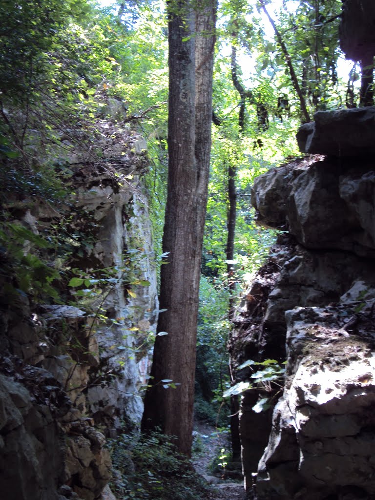 Bluffs on Northern side of Tennessee River 5
