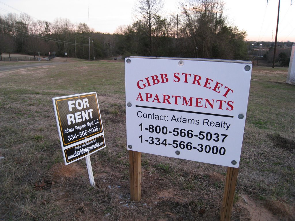 Gibbs Street Apartment