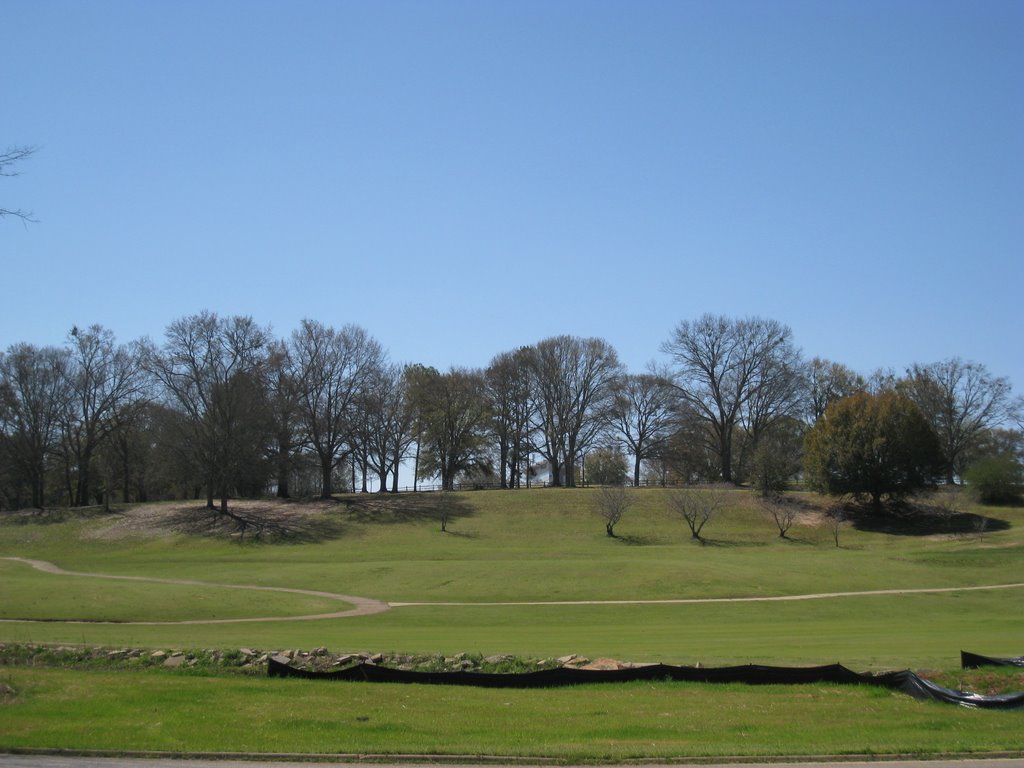 Golf Ground
