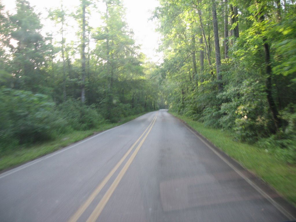 Road In Wheeler WLR Decatur, AL