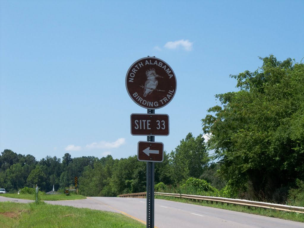 Site 33 North AL Bird Trail Central Loop Dancy Bottoms