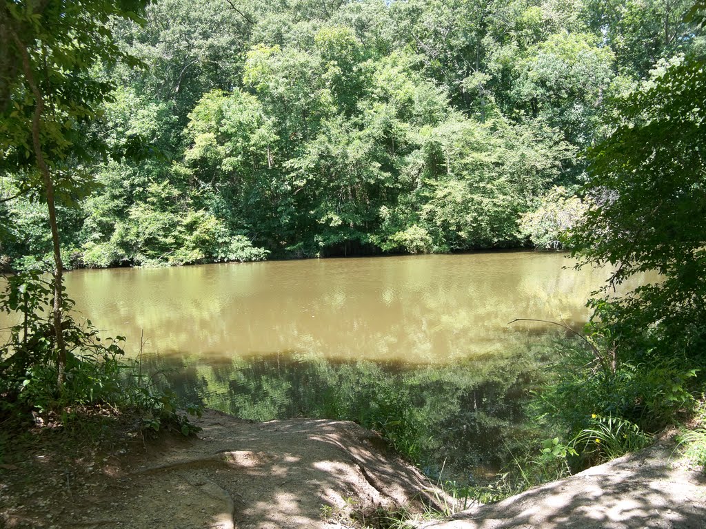 Site 33 North AL Bird Trail Central Loop Dancy Bottoms