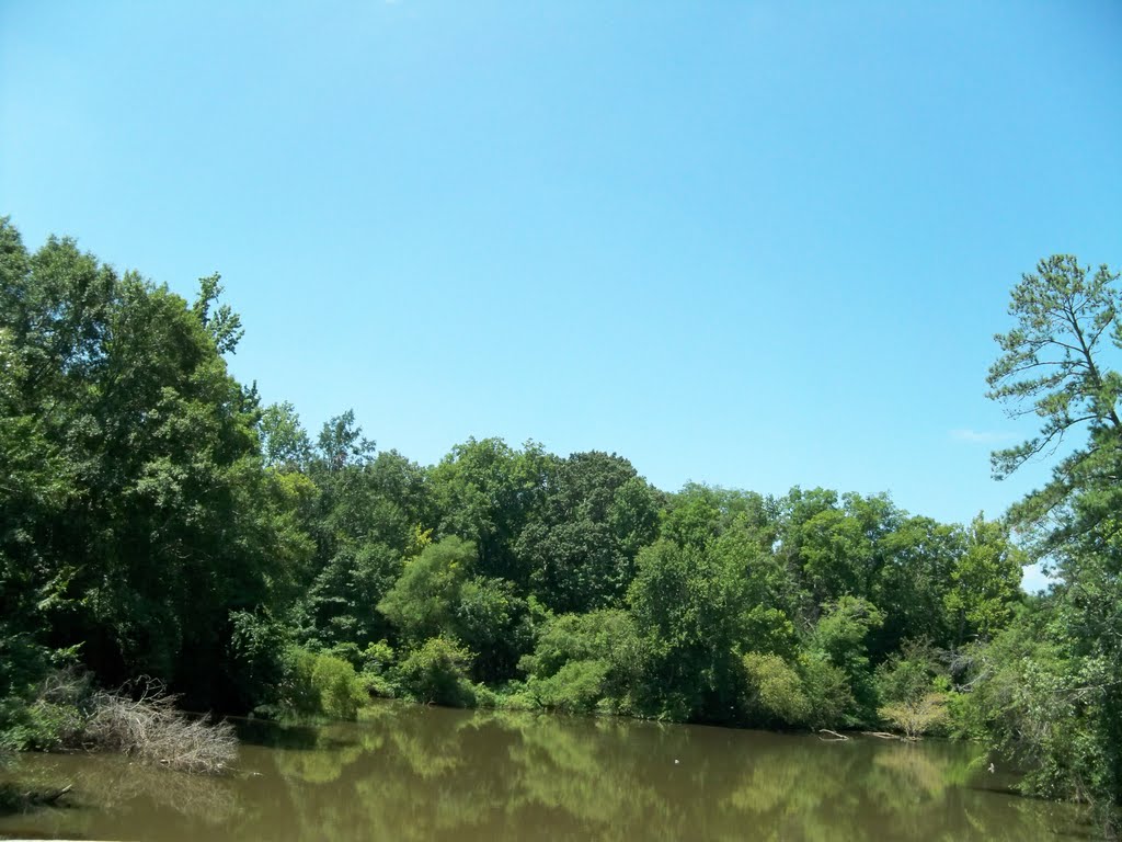 Site 33 North AL Bird Trail Central Loop Dancy Bottoms