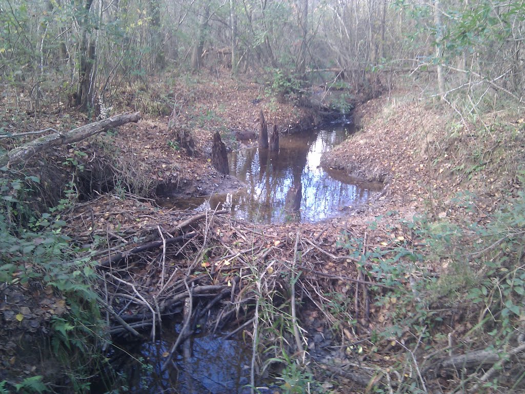 Big escambia creek