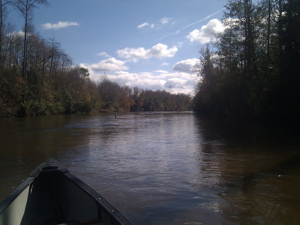 Big escambia creek