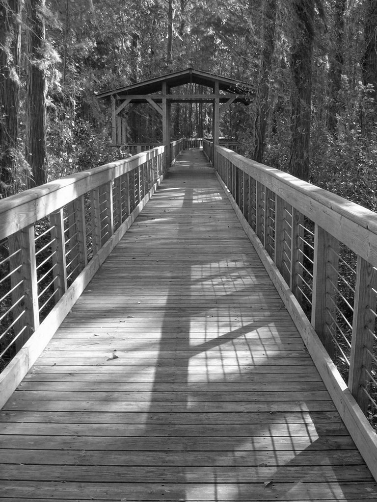 The Bridge to Nowhere