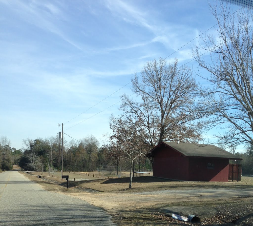 Single Ball Field