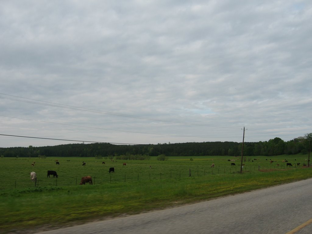 Typical S. Alabama--Outside Mapleville