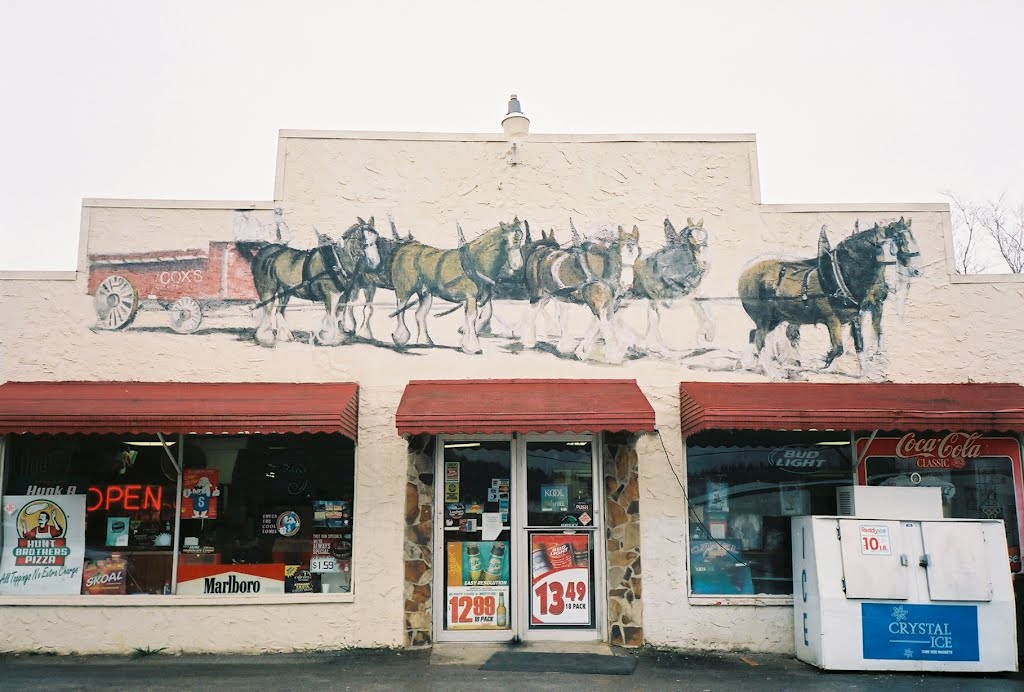 Cox Market  Horses and Wagon Wall Art Henagar AL