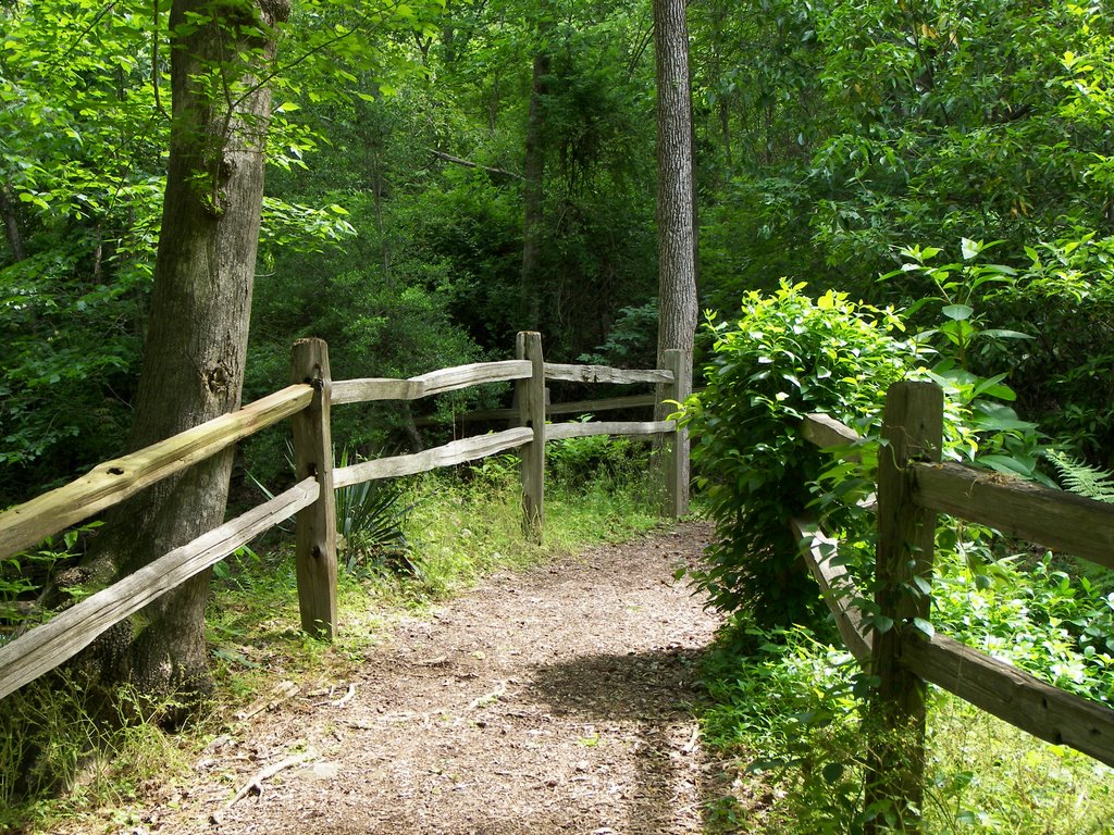 Birmingham Botanical Gardens