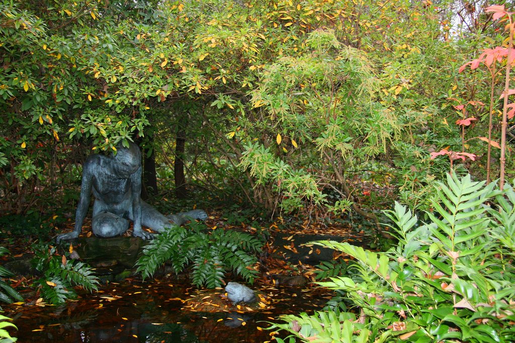 Birmingham Botanical Gardens Pond