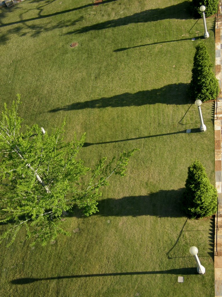 Lights and Shadows
