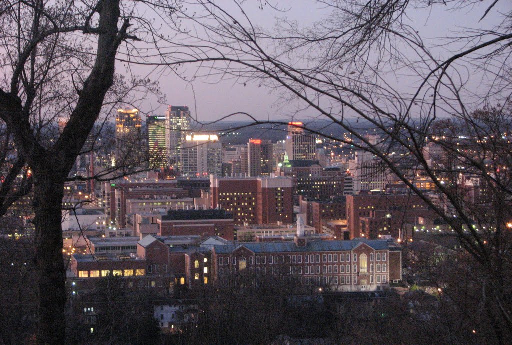 View from Vulcan Tower