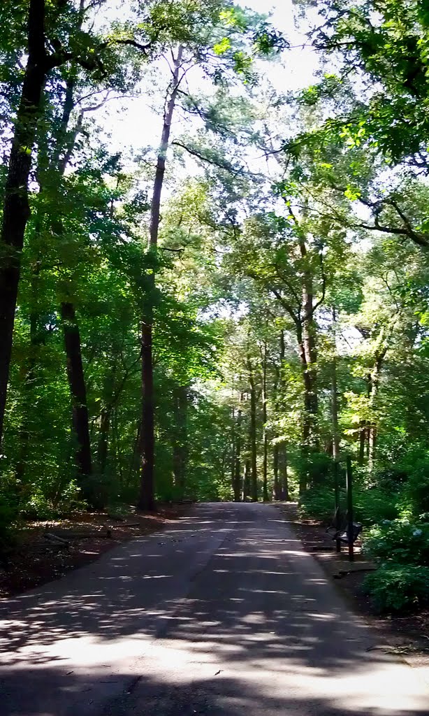 Birmingham Botanical Gardens
