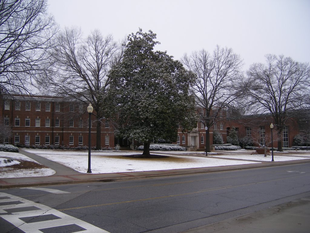 Dawson in the Snow