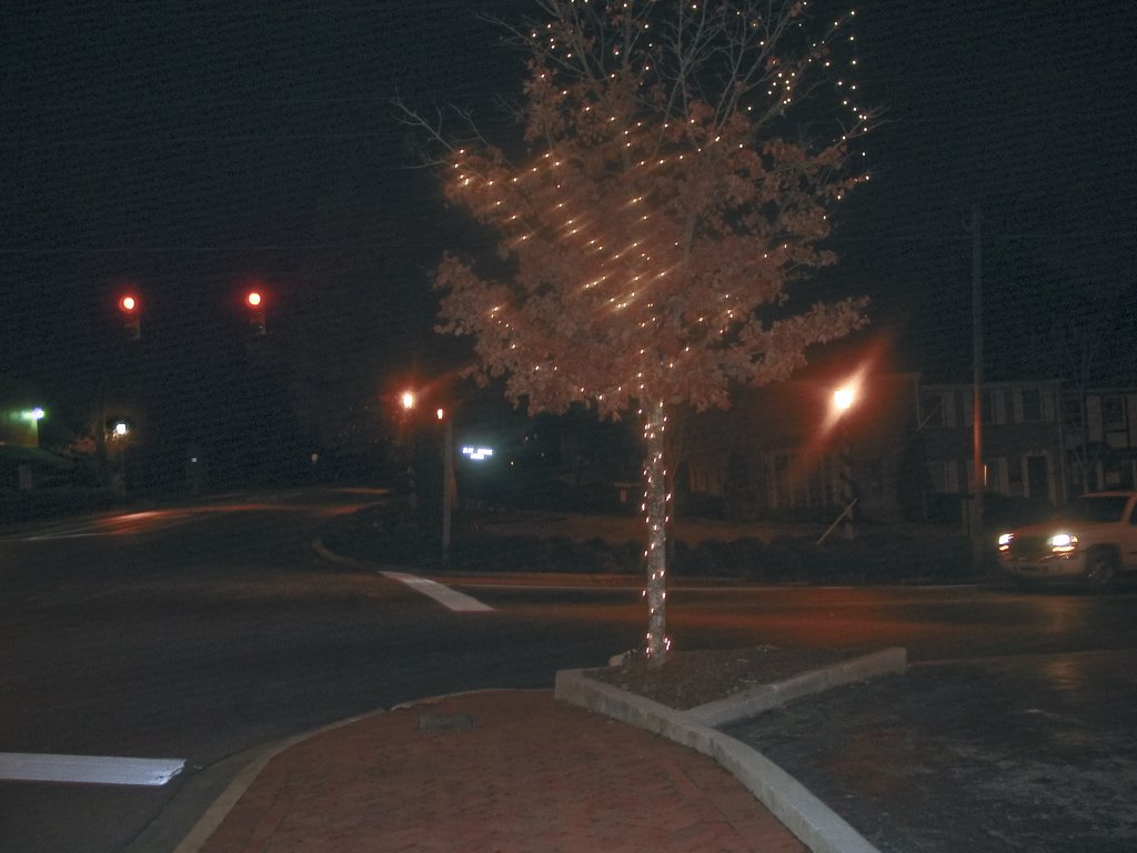 Birmingham_Alabama-2003-12-06 Tree_Lights_at_Night