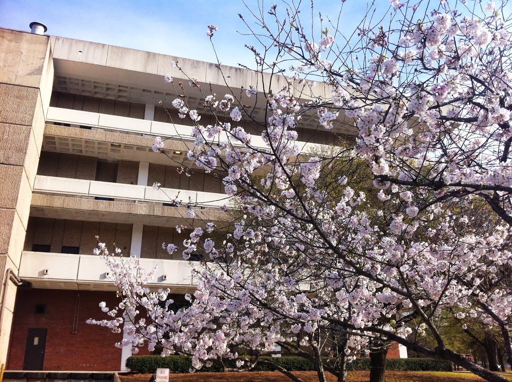 UAB Humanities Building