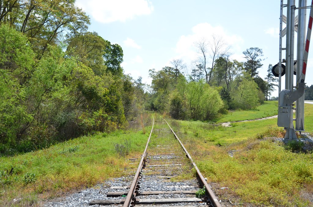 Three Notch Railroad