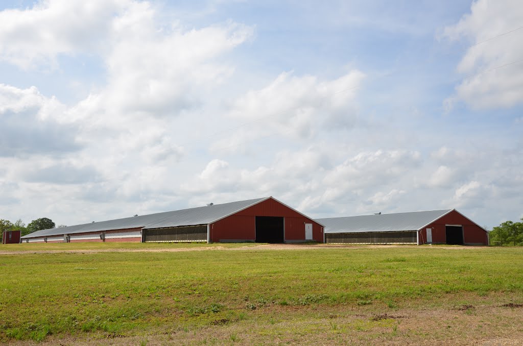 Rural Covington County