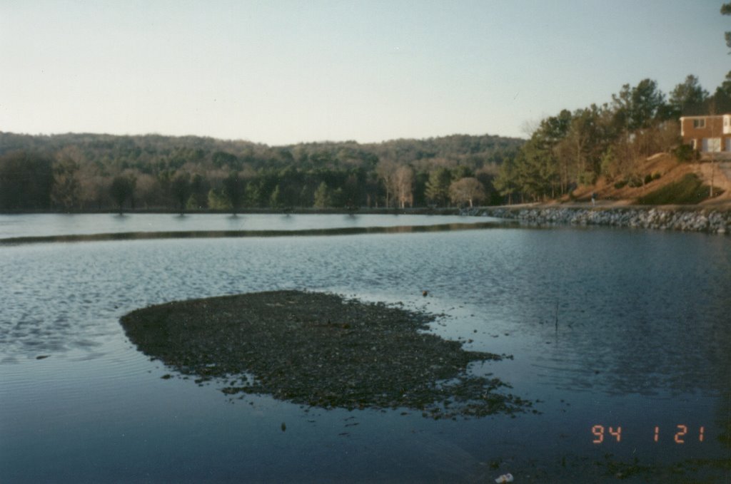 Star Lake (1994)