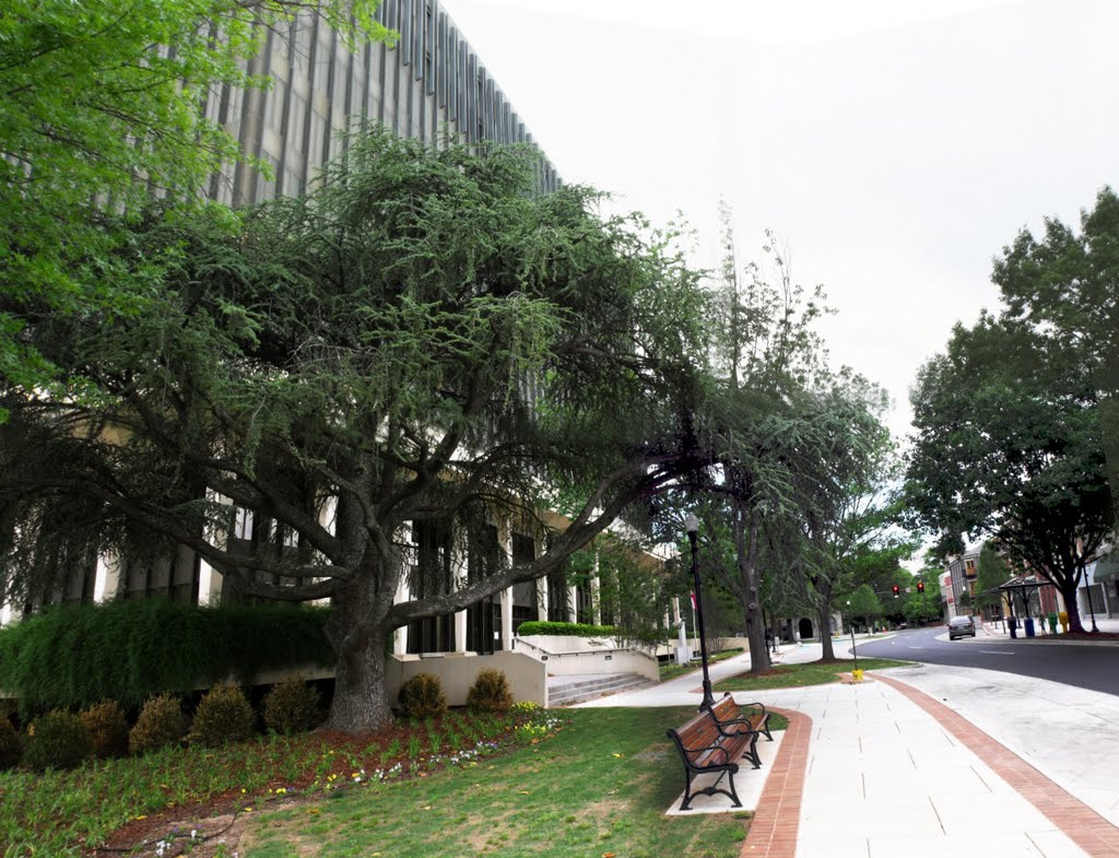 South Corner Court House Square Matrix