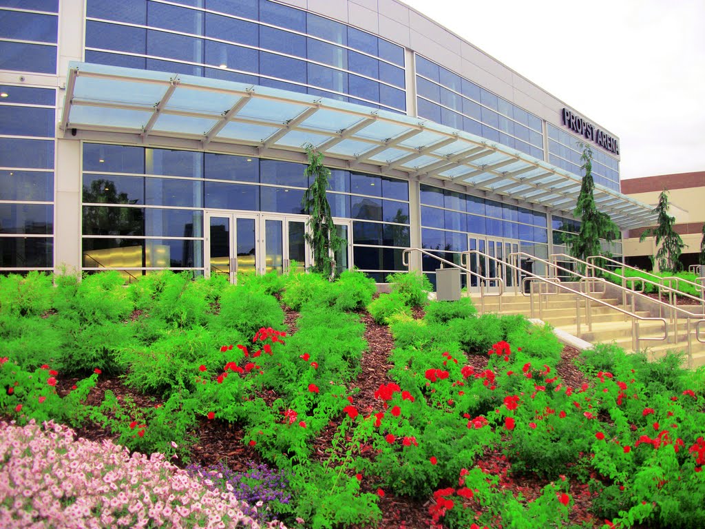 The VBC