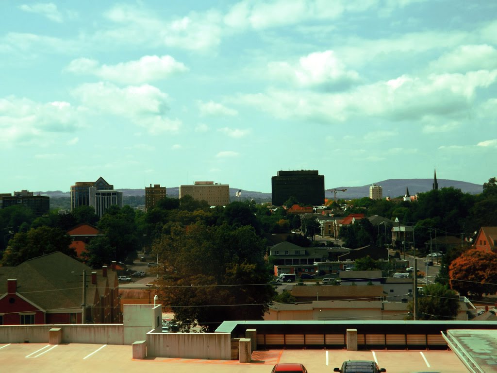 The downtown skyline