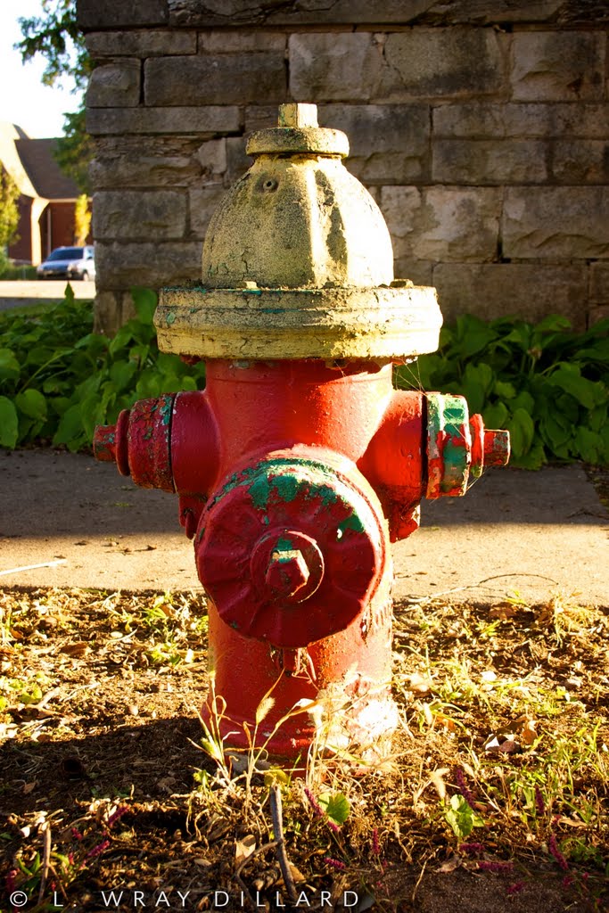 Hydrant in Sheffield