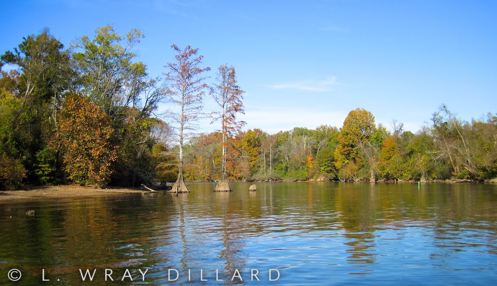 Pickwick Lake at Cypress Creek