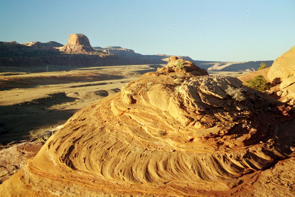 Near the Toes, Kayenta