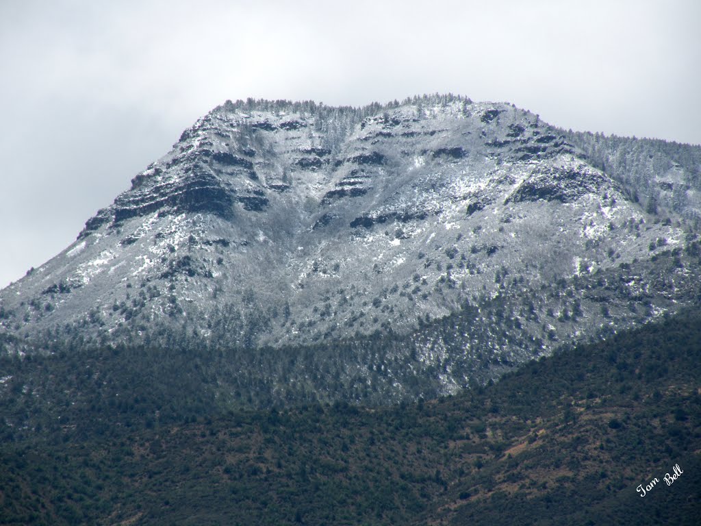 Mingus Mt