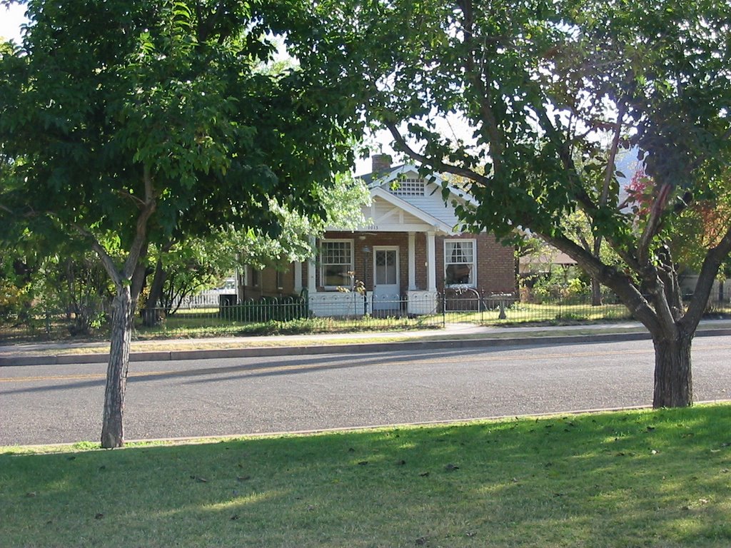Neighborhood house from park