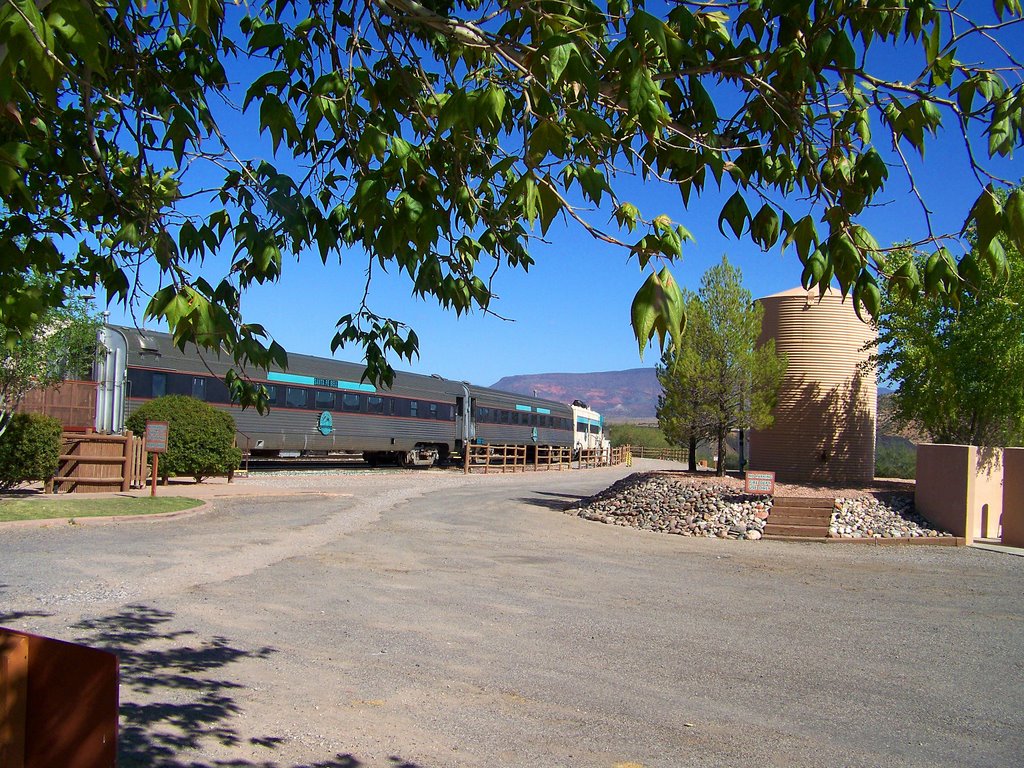 The Train at morning