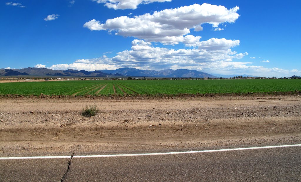 Marana agriculture