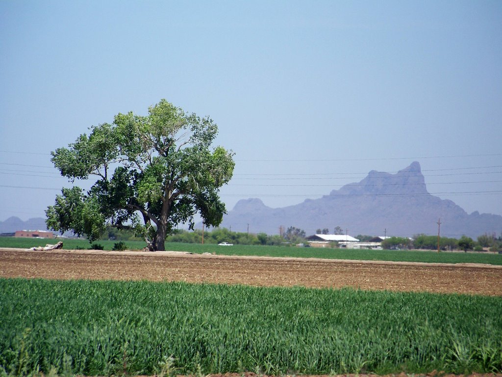Looking NW at Picacho Peak