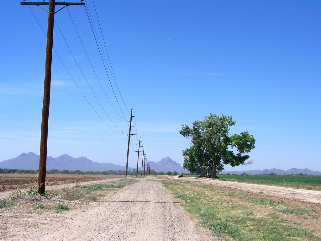 Farm road